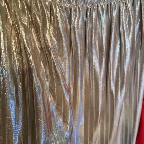 Zara Other - Zara Metallic Silver Pleated Skirt